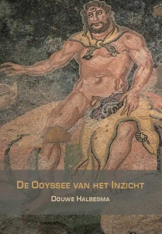 De Odyssee van het inzicht / Druk 1 Bestseller
