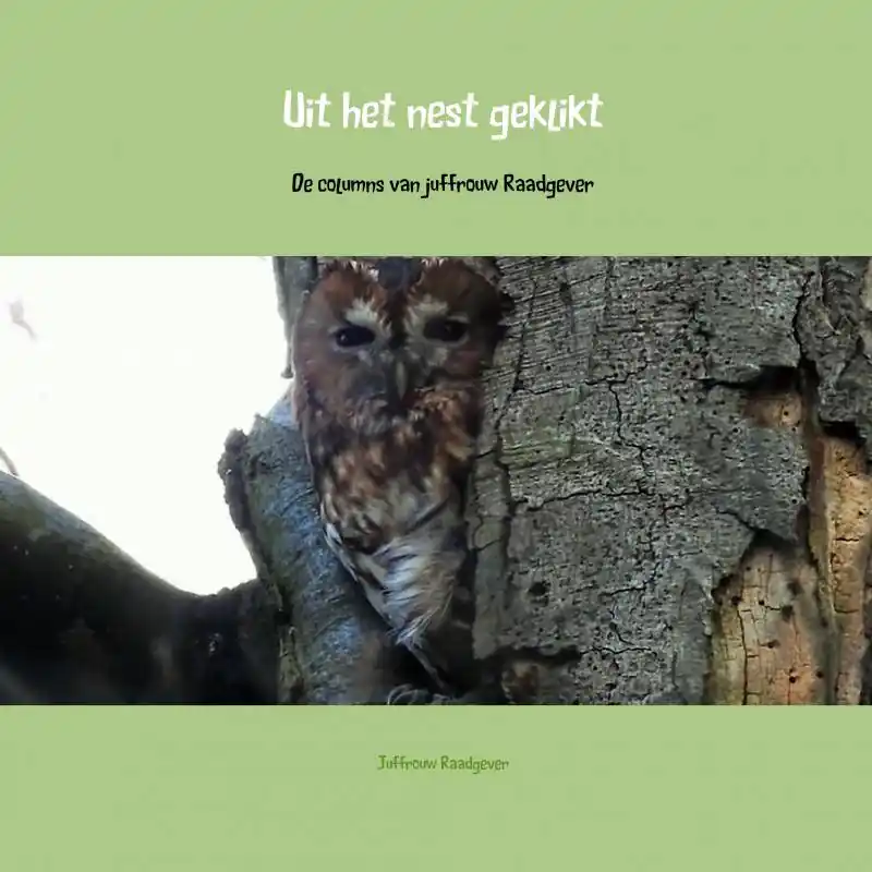 Bestel Nu Uit het nest geklikt / Druk 1