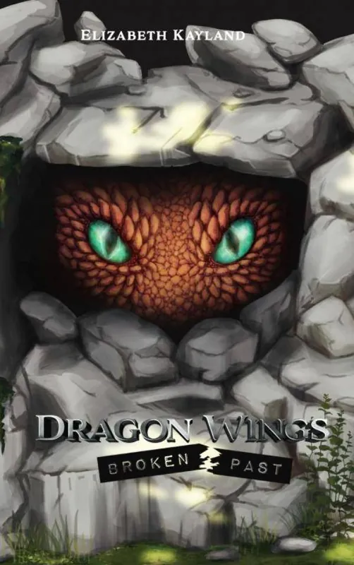 Veilige Betaling Dragon Wings / Druk 1