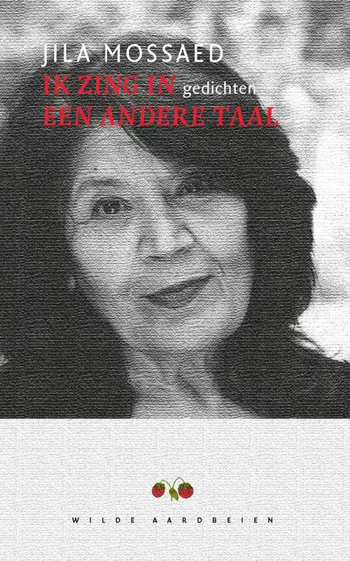 Tijdelijk Beschikbaar Ik zing in een andere taal / Druk 1