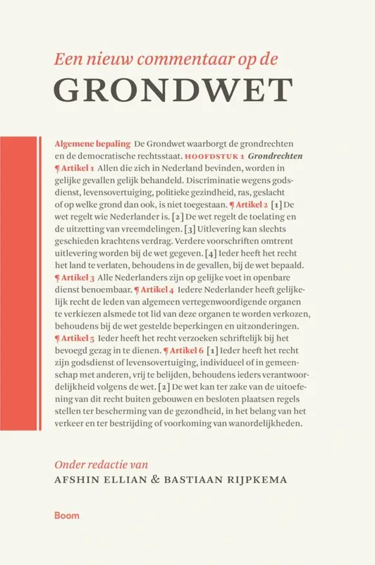 Goedkoop Een nieuw commentaar op de Grondwet