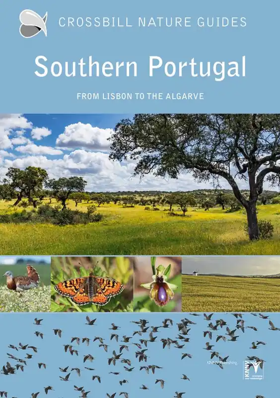Koop Vandaag Southern Portugal / 2nd Edition