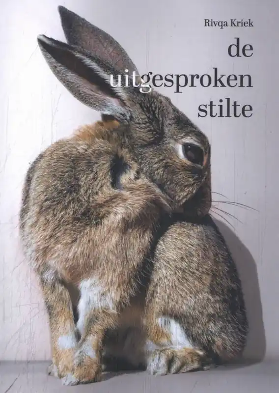 De uitgesproken stilte / Druk 1 Dagaanbieding
