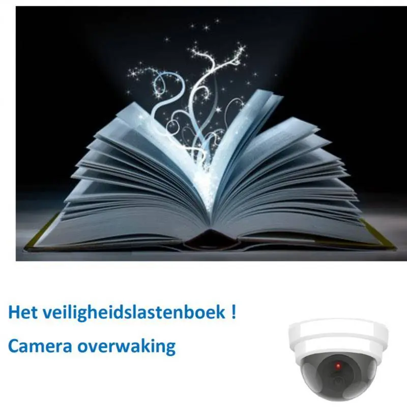 Het veiligheidslastenboek / Druk 1 Superprijs
