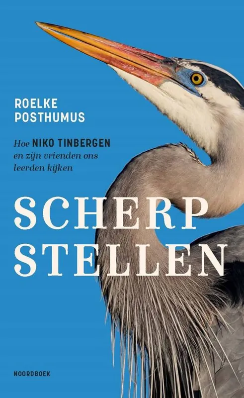 Scherpstellen / Druk 1 Must-Have