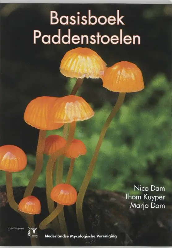Korting Basisboek Paddenstoelen / Druk 1