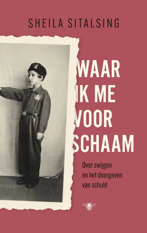 Gereduceerde Prijs Waar ik me voor schaam / Druk 1