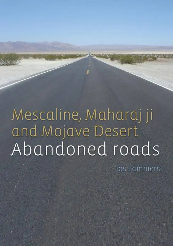 Lage Kosten Abandoned roads / 2nd Edition