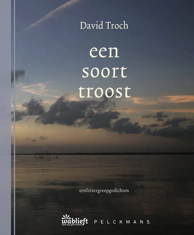 een soort troost / Druk 1 Beperkte Voorraad
