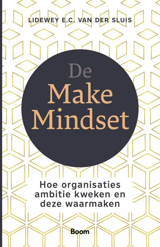 Express Levering De Make Mindset / Druk 1