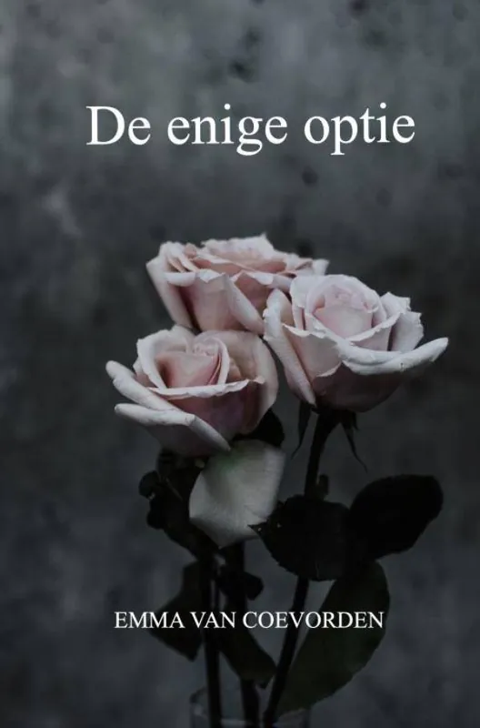 de enige optie / Druk 1 Veilige Betaling