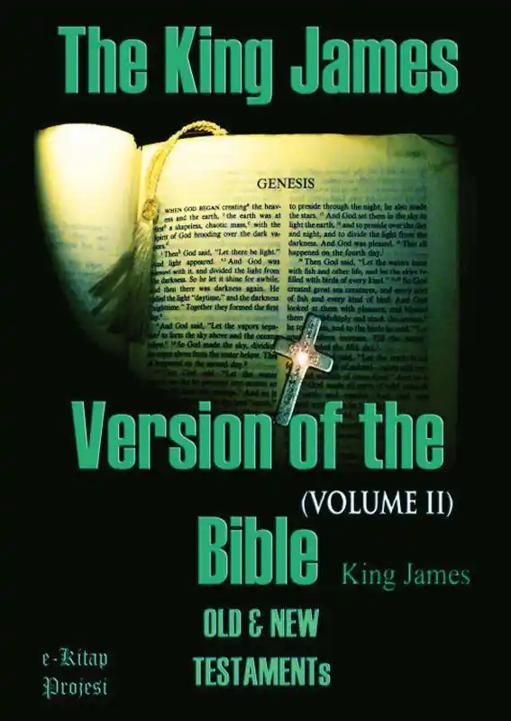 Seizoensaanbieding The King James Version of the Bible / 1st Edition