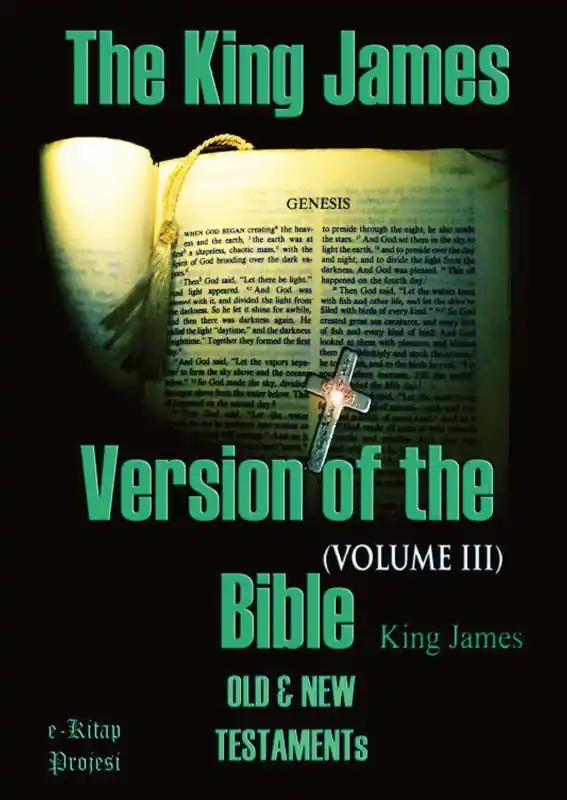 The King James Version of the Bible / 1st Edition Snelle Levering