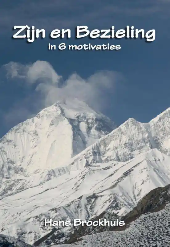 Koop Vandaag Zijn en bezieling in 6 motivaties / Druk 1