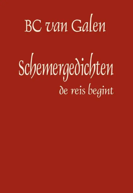 Alleen Vandaag Schemergedichten / Druk 1