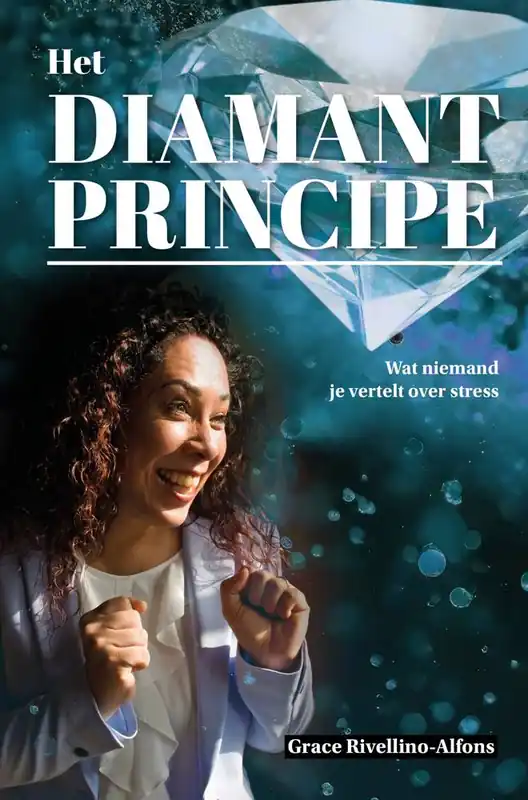Het Diamantprincipe / Druk 1 Tijdelijk Beschikbaar