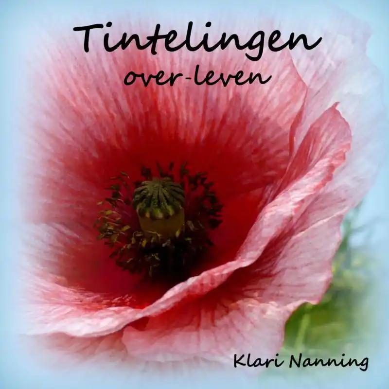 Dagaanbieding Tintelingen / Druk 1