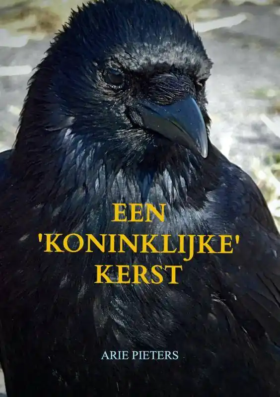 Veilige Betaling Een 'koninklijke' Kerst / Druk 1