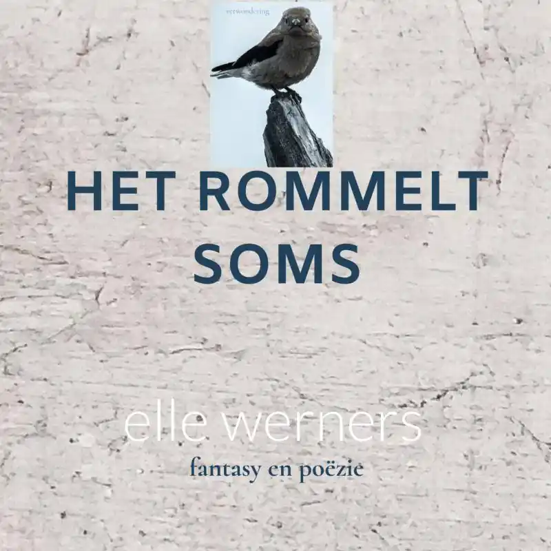 Express Levering HET ROMMELT SOMS / Druk 1