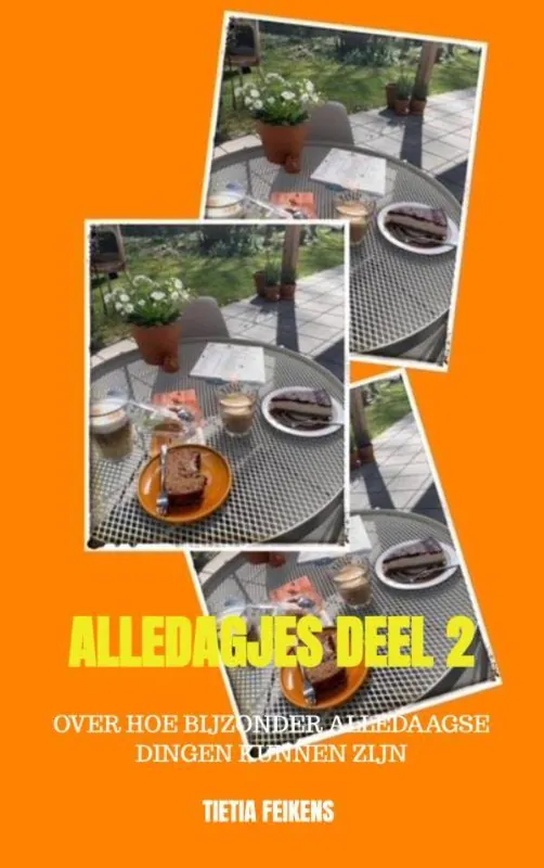 Alledagjes deel 2 / Druk 1 Laatste Kans