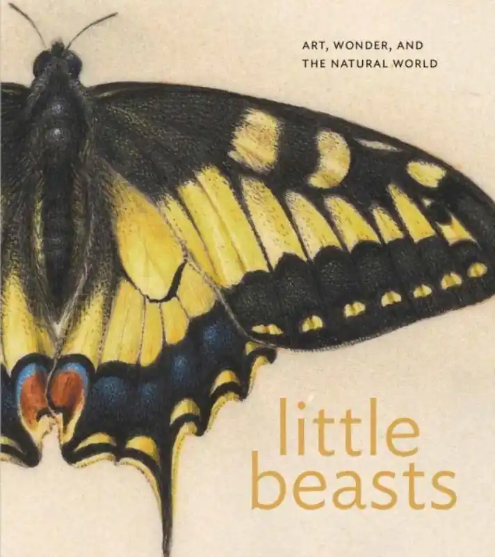 Little Beasts Voordeelprijs