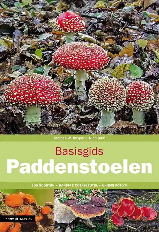 Gereduceerde Prijs Basisgids Paddenstoelen / Druk 4