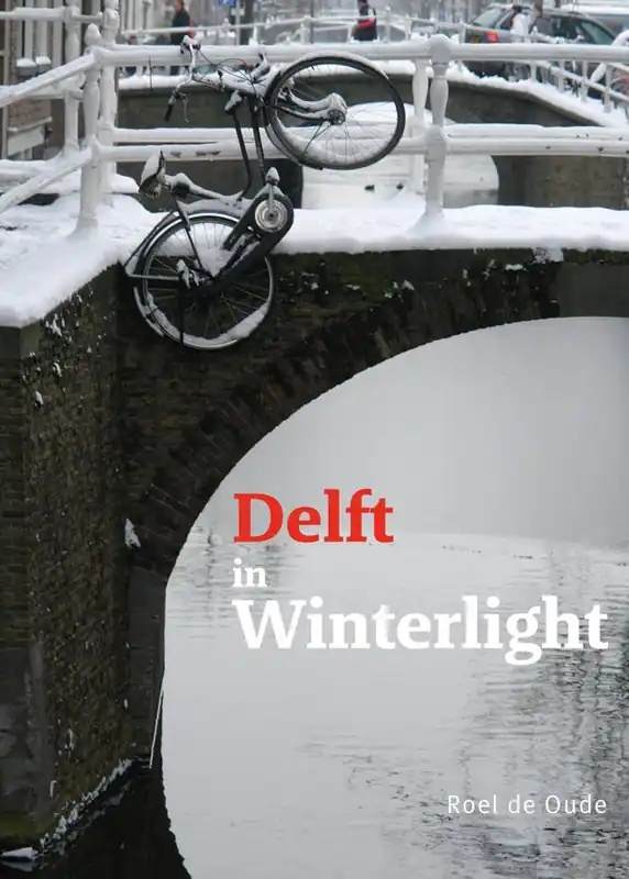 Koopje Delft in Winterlight / Druk 1