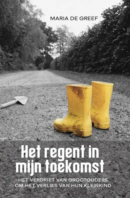 Superprijs Het regent in mijn toekomst / Druk 1