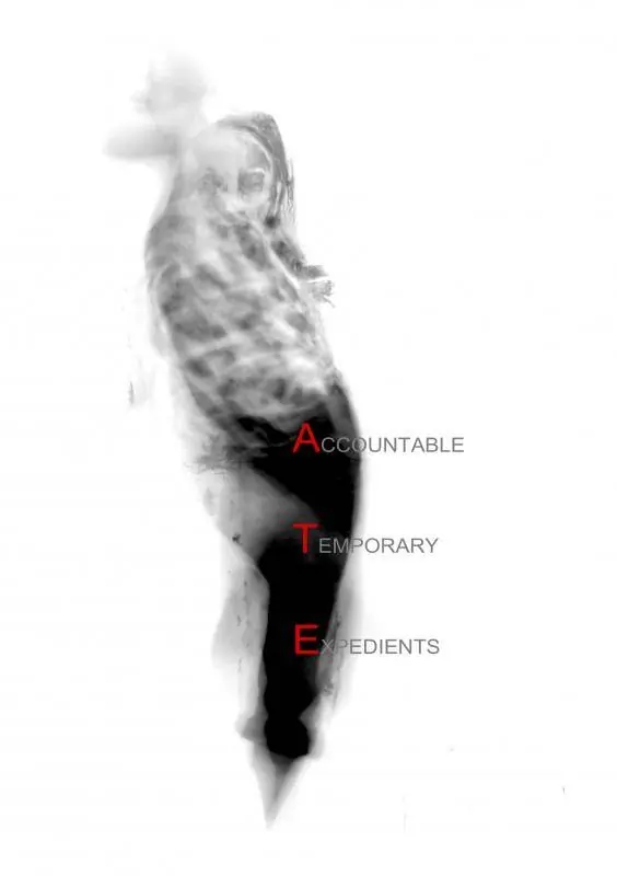 Uitverkoop Accountable Temporary Expedients / 1st Edition