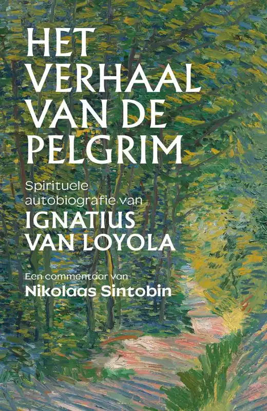 Het verhaal van de pelgrim / Druk 1 Betaalbaar