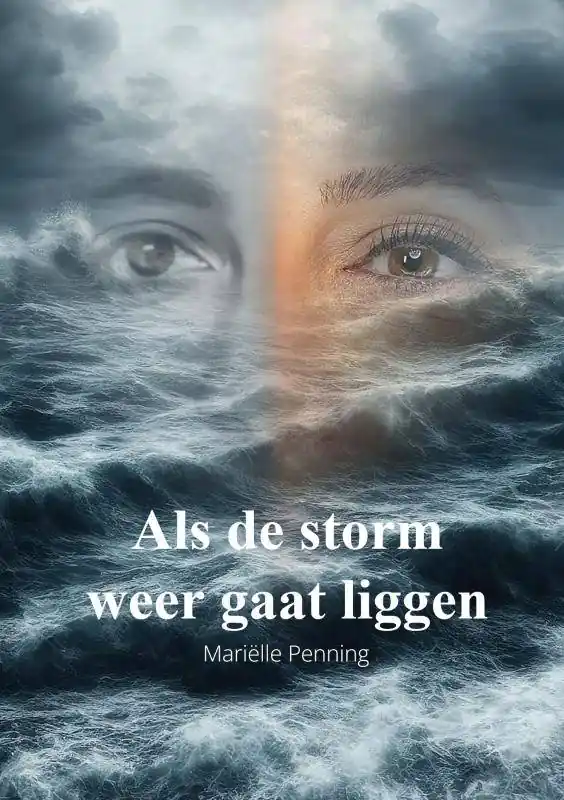Als de storm weer gaat liggen / Druk 1 Lage Kosten