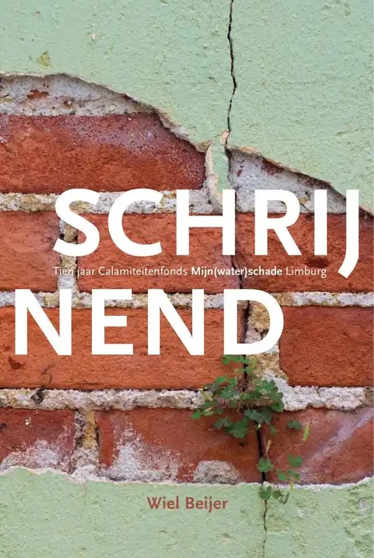 Direct Beschikbaar Schrijnend / Druk 1
