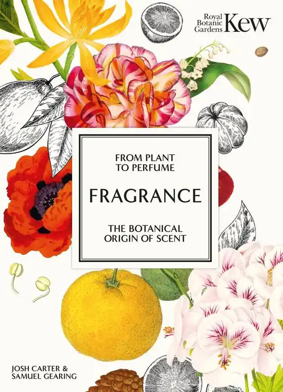 Koop Vandaag Fragrance