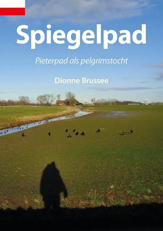 Spiegelpad / Druk 1 Laatste Kans