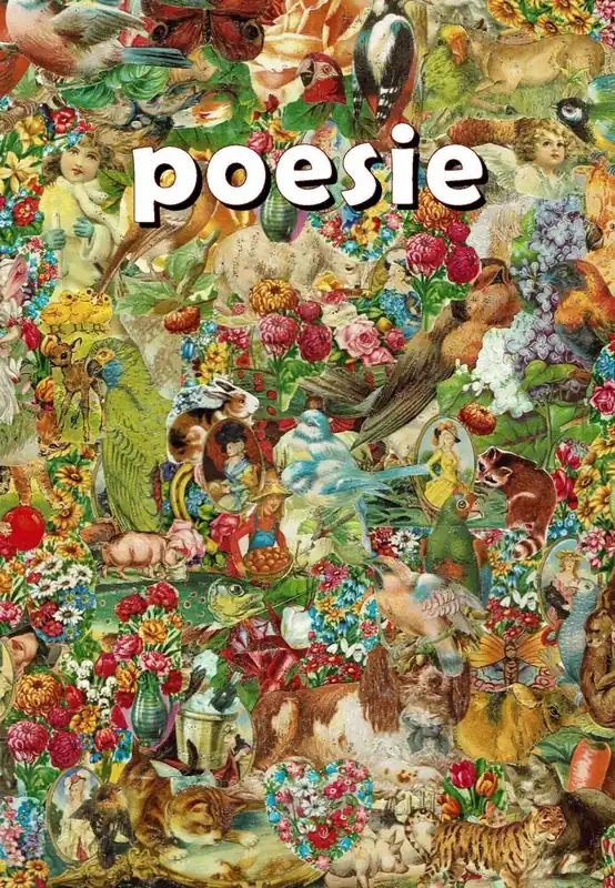 Laatste Kans poesie / Druk 1
