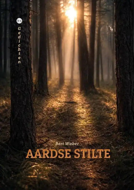 Tijdelijk Beschikbaar Aardse stilte / Druk 1
