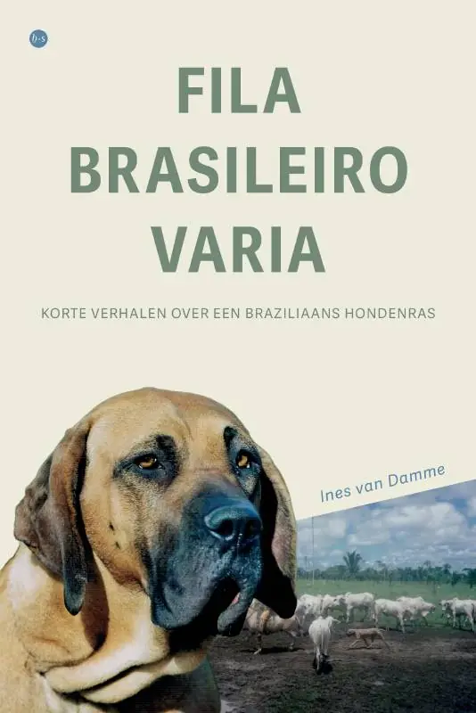 Snelle Levering Fila Brasileiro Varia / Druk 1