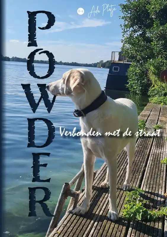 Powder / Druk 1 Gereduceerde Prijs